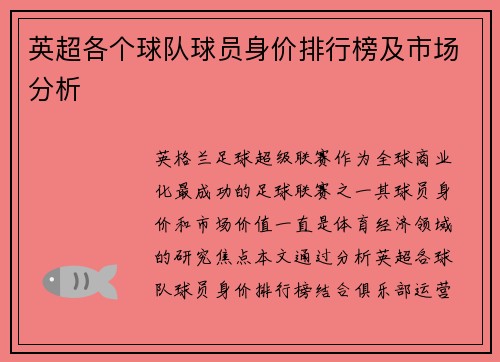 英超各个球队球员身价排行榜及市场分析