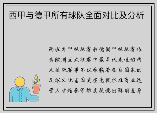 西甲与德甲所有球队全面对比及分析